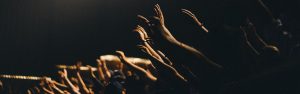 Carnaby and Company Content Marketing Agency Avalon Sydney